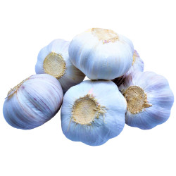 Garlic 500g