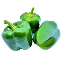 Green Capsicum Single