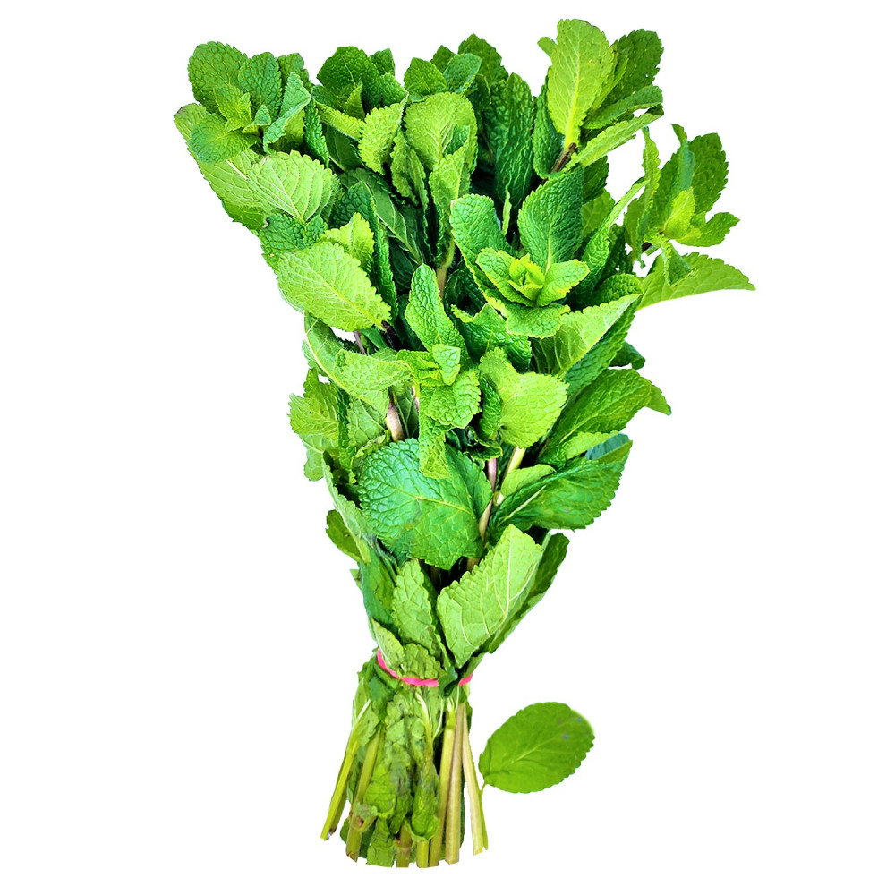 Mint bunch