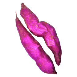 Sweet Potatoes pack of 2