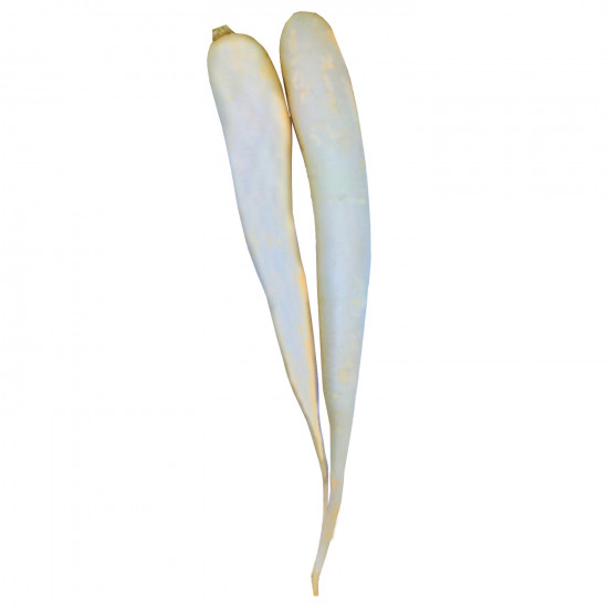 White Radish single White Radish single