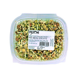Ruchi Mix Bean Sprouts 200g