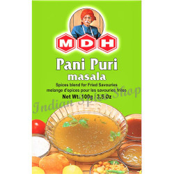 MDH Pani Puri Masala 100g